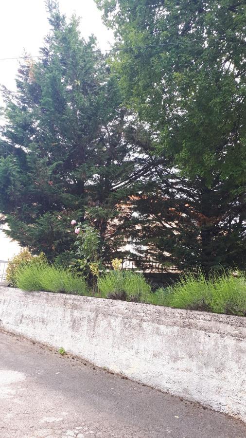 Apartman Rosemary Rijeka Bagian luar foto
